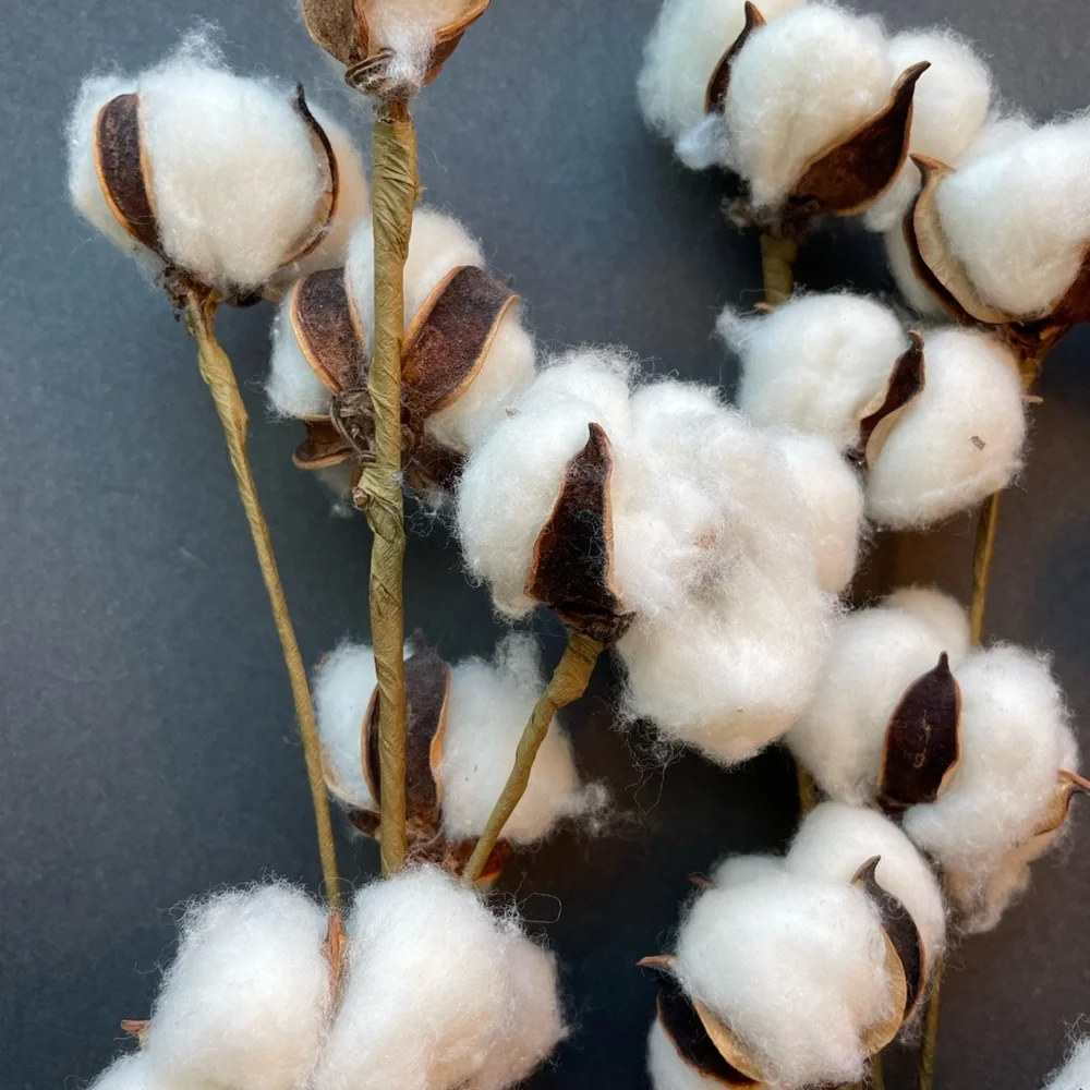 Faux cotton sprigs. White and brown. Farmhouse shabby chic. Lot of three.